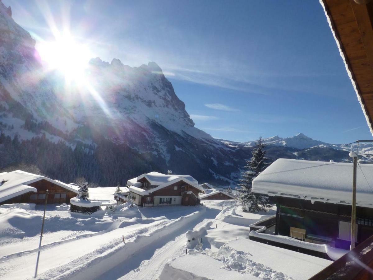 Appartement Chalet Verbrunnenhaus Grindelwald Extérieur photo